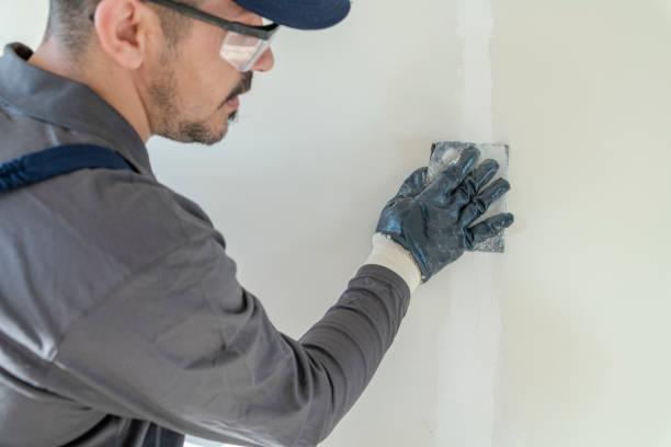 Best Black Mold Removal  in Erin, TN