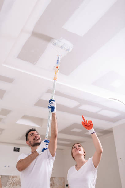 Best Comprehensive Air Testing for Mold Contaminants  in Erin, TN