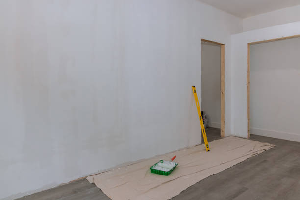 Best Black Mold Removal  in Erin, TN