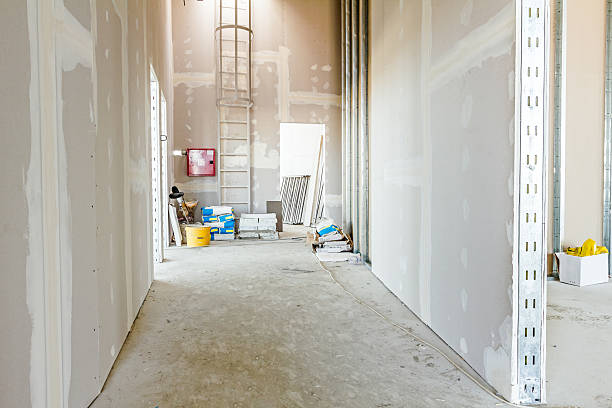 Best Water Damage & Mold Remediation  in Erin, TN