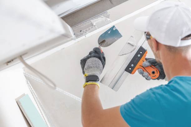 Best Mold Prevention Services  in Erin, TN